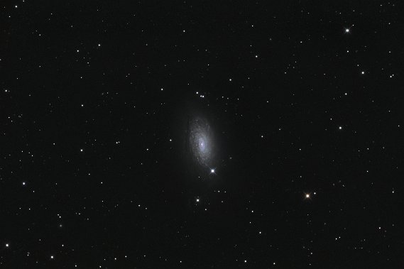 M63