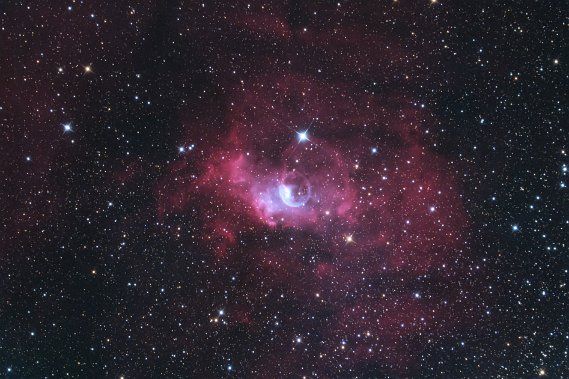 C11