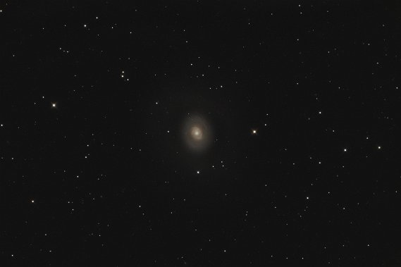 M94