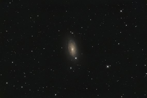 M63