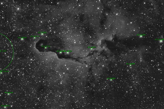 IC1396 Info
