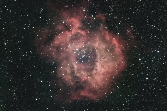 NGC2238