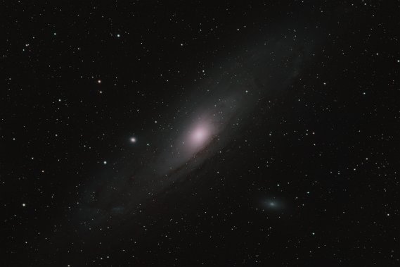 M31