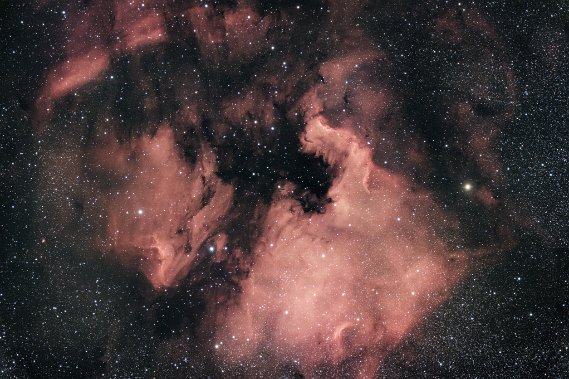 NGC7000