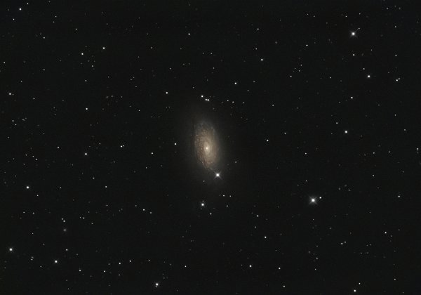 M63 M63 11.03.2023 Center (RA, hms): 13h 15m 49.904s Center (Dec, dms): +42° 02' 15.652